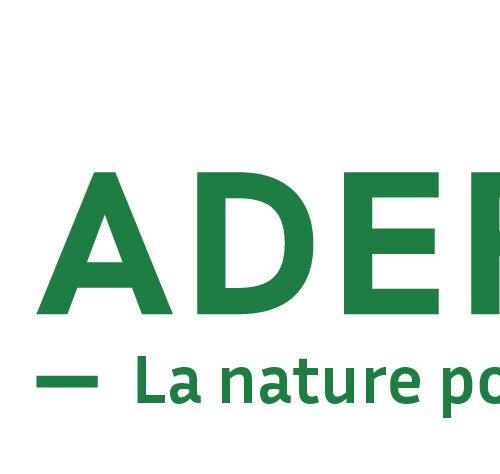 Adeppa